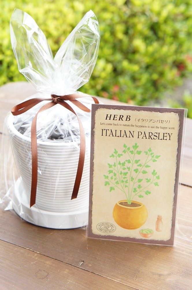 �ϡ��ֺ��ݥ��åȡ֥����ꥢ��ѥ��꡼��