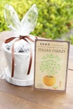 ϡֺݥåȡ֥ꥢѥ꡼