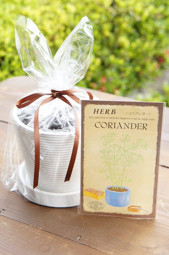 �ϡ��ֺ��ݥ��åȡ֥��ꥢ�����(�ѥ�����)��