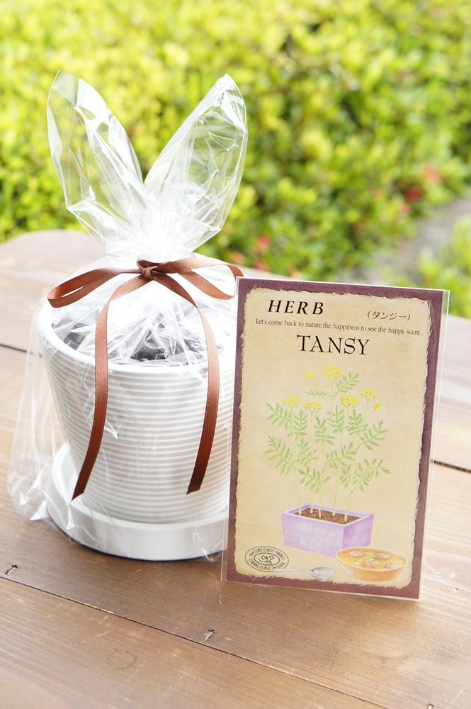 �ϡ��ֺ��ݥ��åȡ֥��󥸡���