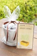 ϡֺݥåȡ֥ޥ󥫥ߡ