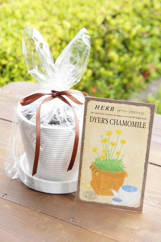 �ϡ��ֺ��ݥ��åȡ֥����䡼������ߡ����