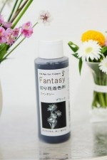 ڲ忧 Fantasy֥ե󥿥 ֥å 100mlסڲ졦Υ硢ҶԲľʡ