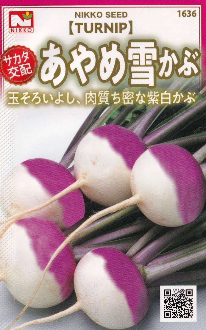 かぶ 日光種苗 サカタ交配 あやめ雪かぶ（蕪、カブ）のタネ [内容量：1.5ml