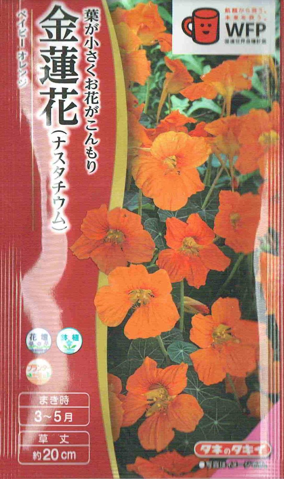タキイ種苗 金蓮花 ベイビーオレンジのタネ[内容量：30粒
