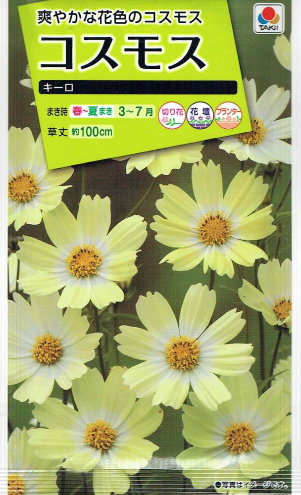タキイ種苗 コスモス キーロのタネ[内容量：1ml] | 【メーカー名から
