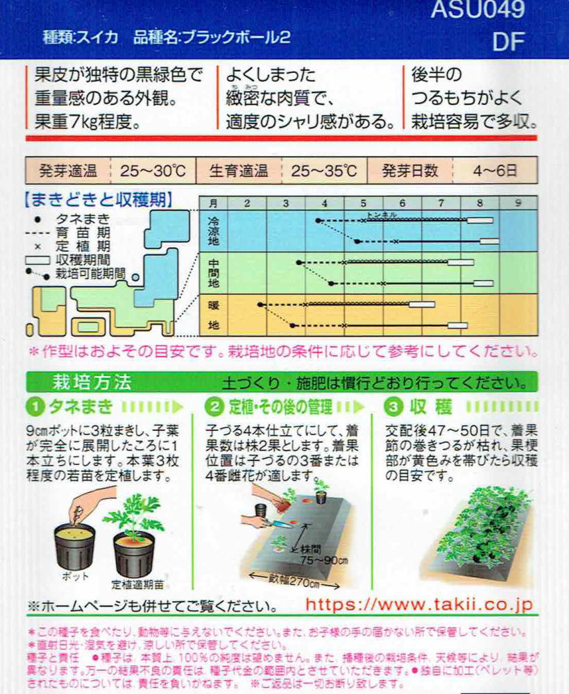 タキイ種苗 スイカ ブラックボール2のタネDF