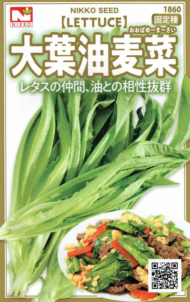 日光種苗 レタスの仲間 「大葉油麦菜」のタネ(おおばゆーまーさい