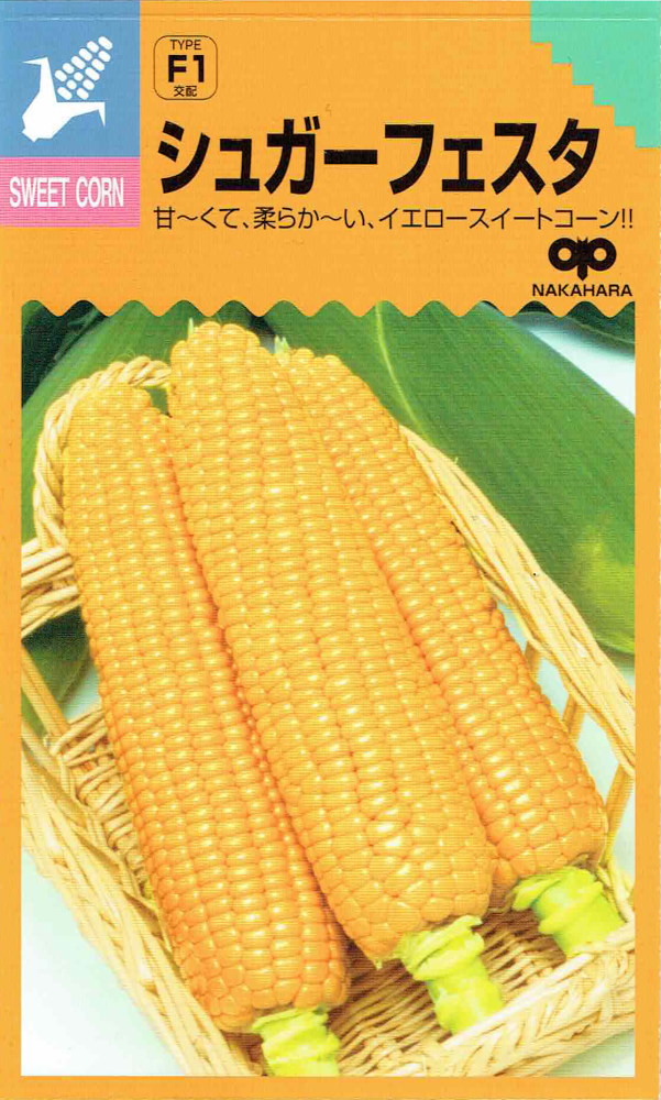 渶μ ȥ 奬եΥ[̡50γ]