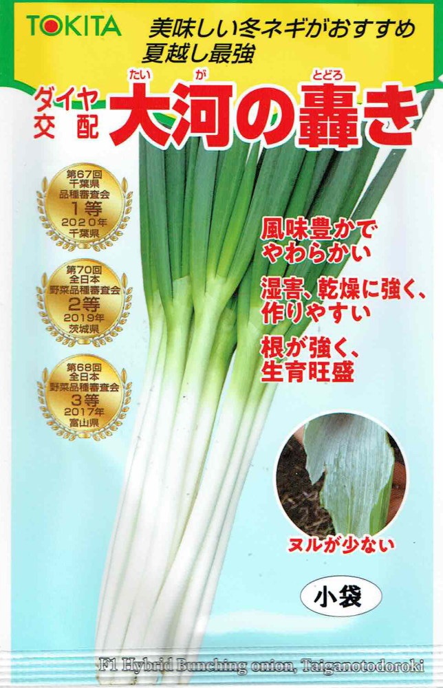 トキタ種苗 ネギ 大河の轟きのタネ(たいがのとどろき)[内容量：5ml