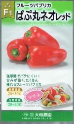 �������� �ե롼�ĥѥץꥫ �Ѥ״ݥͥ�����åɤΥ���[�����̡���6γ]