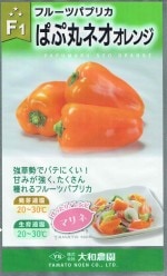 �������� �ե롼�ĥѥץꥫ �Ѥ״ݥͥ�������󥸤Υ���[�����̡���6γ]