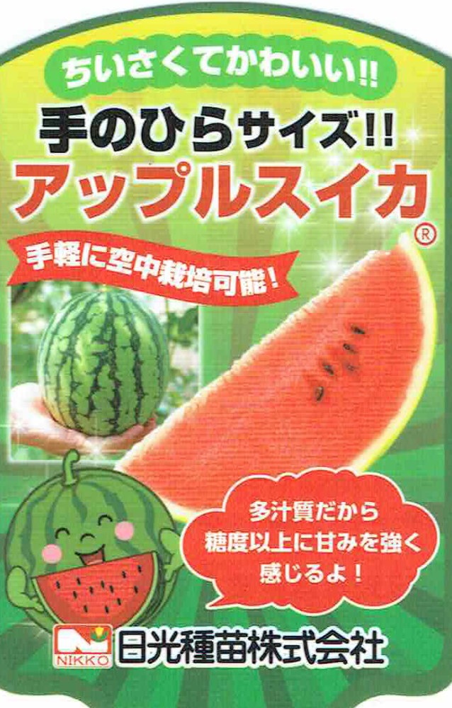 松永種苗「アップルスイカ」9cmポット苗【5月上旬～5月下旬発送分予約