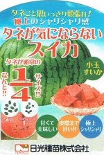 �ʥ�ȼ��ġ֥��ͤ����ˤʤ�ʤ��������סʥԥΡ��������9cm�ݥå��ġ�5���ܡ�5���ȯ��ʬͽ���