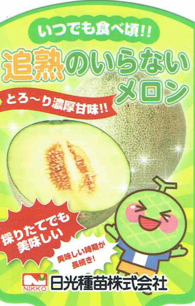 日光種苗「追熟のいらないメロン」9cmポット苗【5月上旬～5月下旬発送