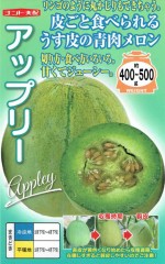 ʥȼ  åץ꡼Υ[̡5γ]