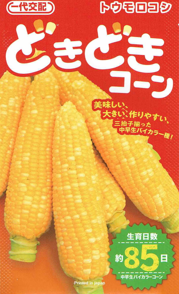 コーンさんページ　⭐︎6点おまとめ⭐︎ 綾瀬市】旬を味わう！ 「菜速あやせコーン(R)堪能祭」が開催されます
