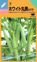 渶μ  ۥ磻ȴ貤Υ(ۤ襤Ȥޤ뤶)[̡50γ]