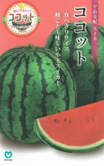 �ݼ� ���̥����� �����åȤΥ���[�����̡���6γ]