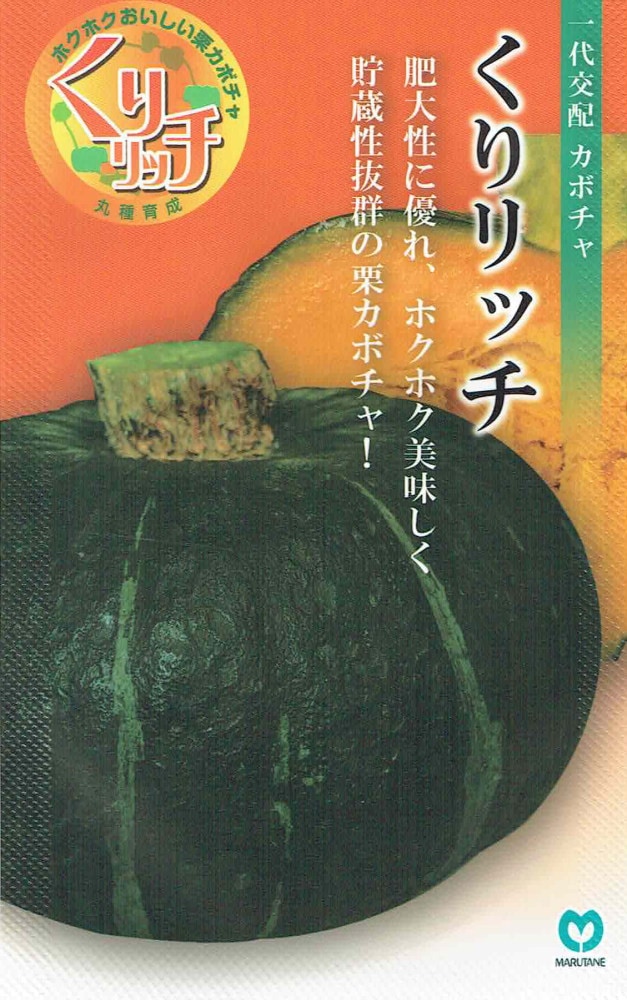 丸種 カボチャ くりリッチのタネ[内容量：約8粒] | 【メーカー名から