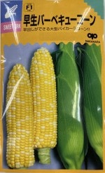 �渶�μ�� �ȥ�������� �����С��٥��塼������Υ���[�����̡�30ml]