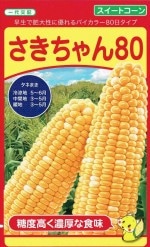 ¢ ȥ 󣸣Υ[̡100γ]