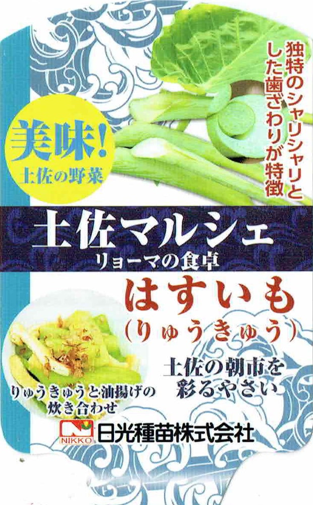 日光種苗 土佐マルシェ「はすいも」（りゅうきゅう・ハスイモ）9cm