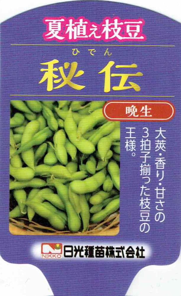 夏植え枝豆「秘伝（ひでん）」9cmポット苗【6月中旬～7月上旬発送分