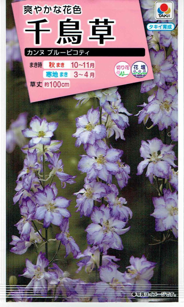 タキイ種苗 千鳥草 カンヌブルーピコティのタネ[内容量：0.5ml