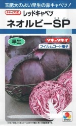 ���������� ��åɥ���٥� �ͥ���ӡ��ӣФΥ���[�����̡���150γ]DF