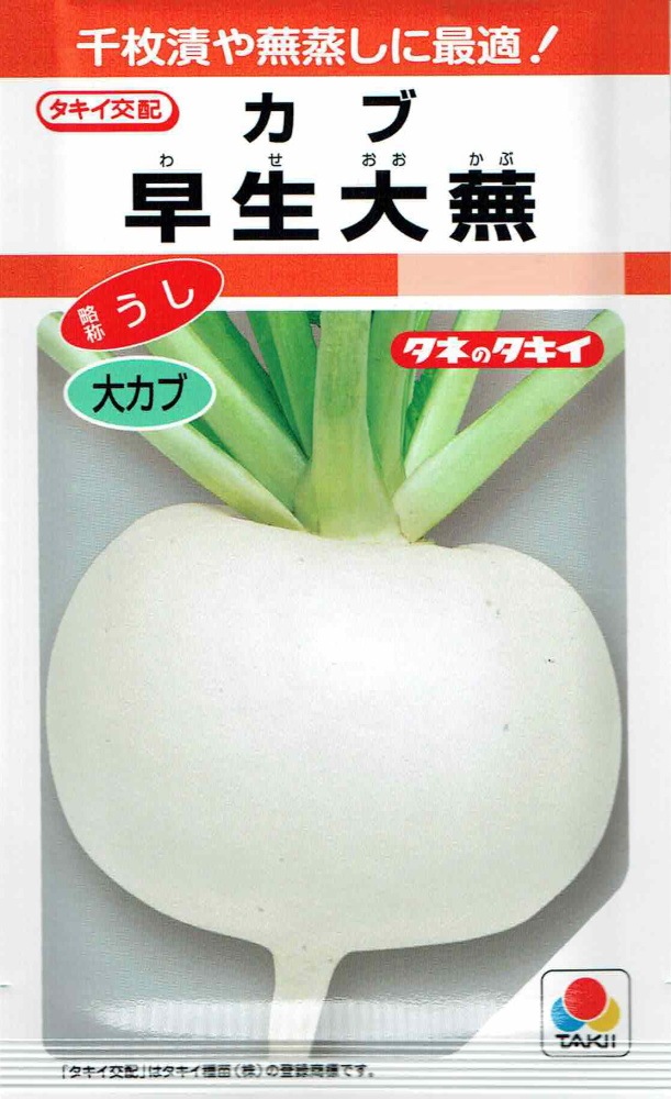 タキイ種苗 カブ 早生大蕪のタネ(わせおおかぶ)[内容量：3.5ml]RF