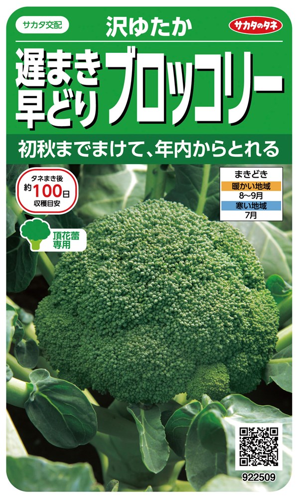 ブロッコリー サカタのタネ ブロッコリー 遅まき早どりブロッコリー 沢ゆたかのタネ