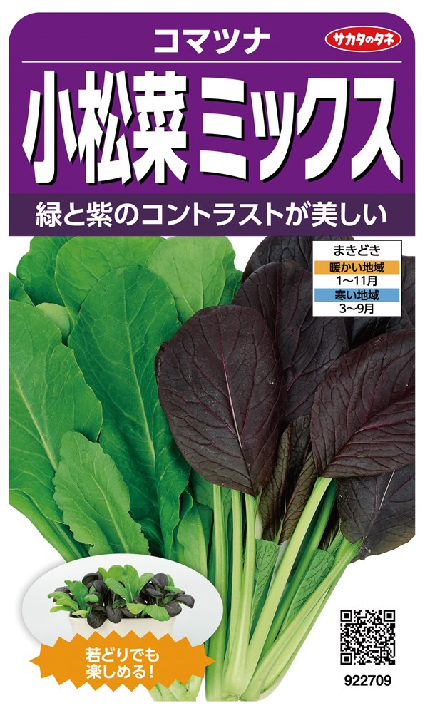 サカタのタネ コマツナ 小松菜ミックスのタネ[内容量：10ml