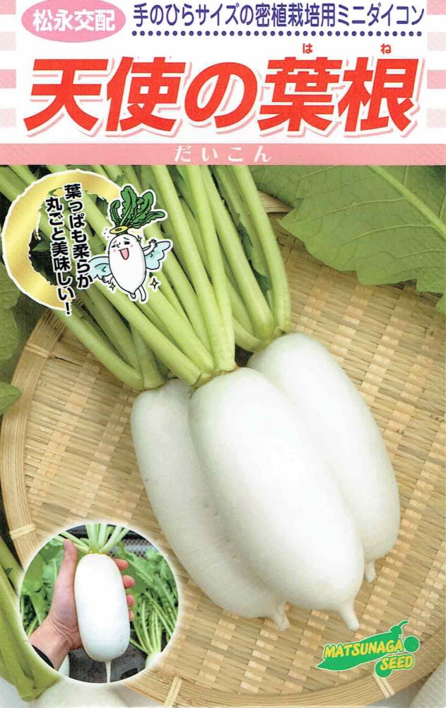 松永種苗 ダイコン 天使の葉根（はね）のタネ[内容量：2.5ml