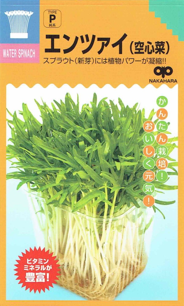中原採種場 スプラウト エンツァイ（空心菜）のタネ[内容量：30ml
