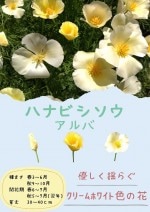 �������ġֲ�ɩ�� ����СפΥ��͡�[�����̡�100ml](�ϤʤӤ��������ϥʥӥ������������������������ե���˥��ݥԡ�)