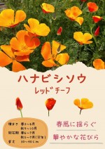 �������ġֲ�ɩ�� ��åɥ����աפΥ���[�����̡�0.5ml](�ϤʤӤ��������ϥʥӥ������������������������ե���˥��ݥԡ�)