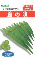 եм 貥 αΥ(ޤΤ)[̡10ml]