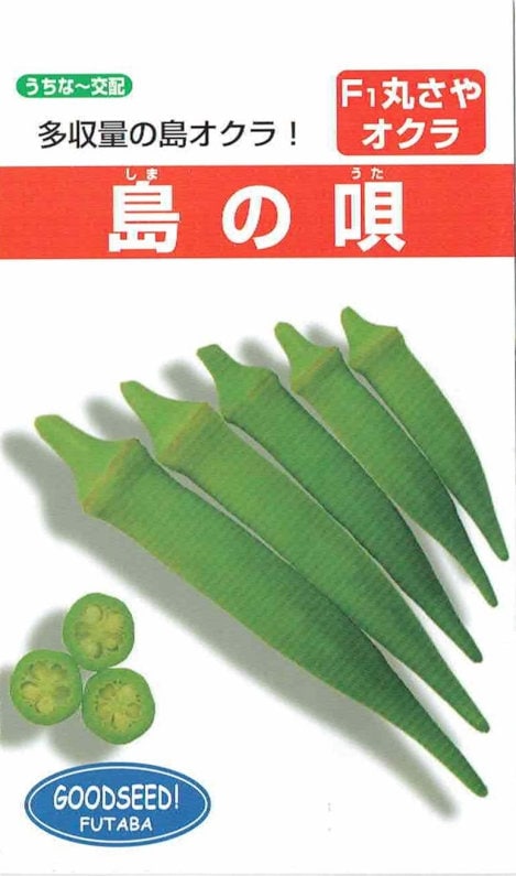 フタバ種苗 丸莢オクラ 島の唄のタネ (しまのうた) [内容量：10ml