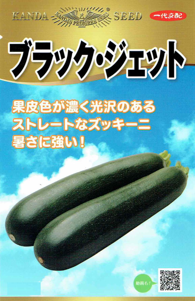 神田育種農場 ズッキーニ ブラック・ジェットのタネ[内容量：約5粒