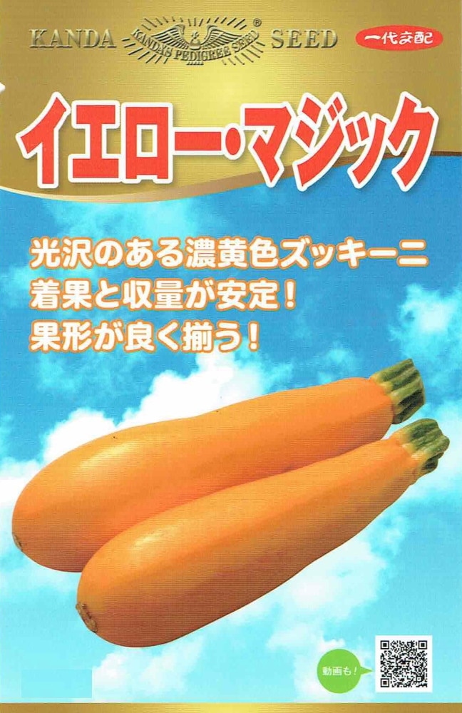 神田育種農場 ズッキーニ イエロー・マジックのタネ[内容量：約10粒