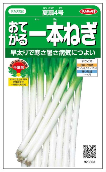 サカタのタネ ネギ おてがる一本ねぎ 夏扇4号 3ml 【郵送対応