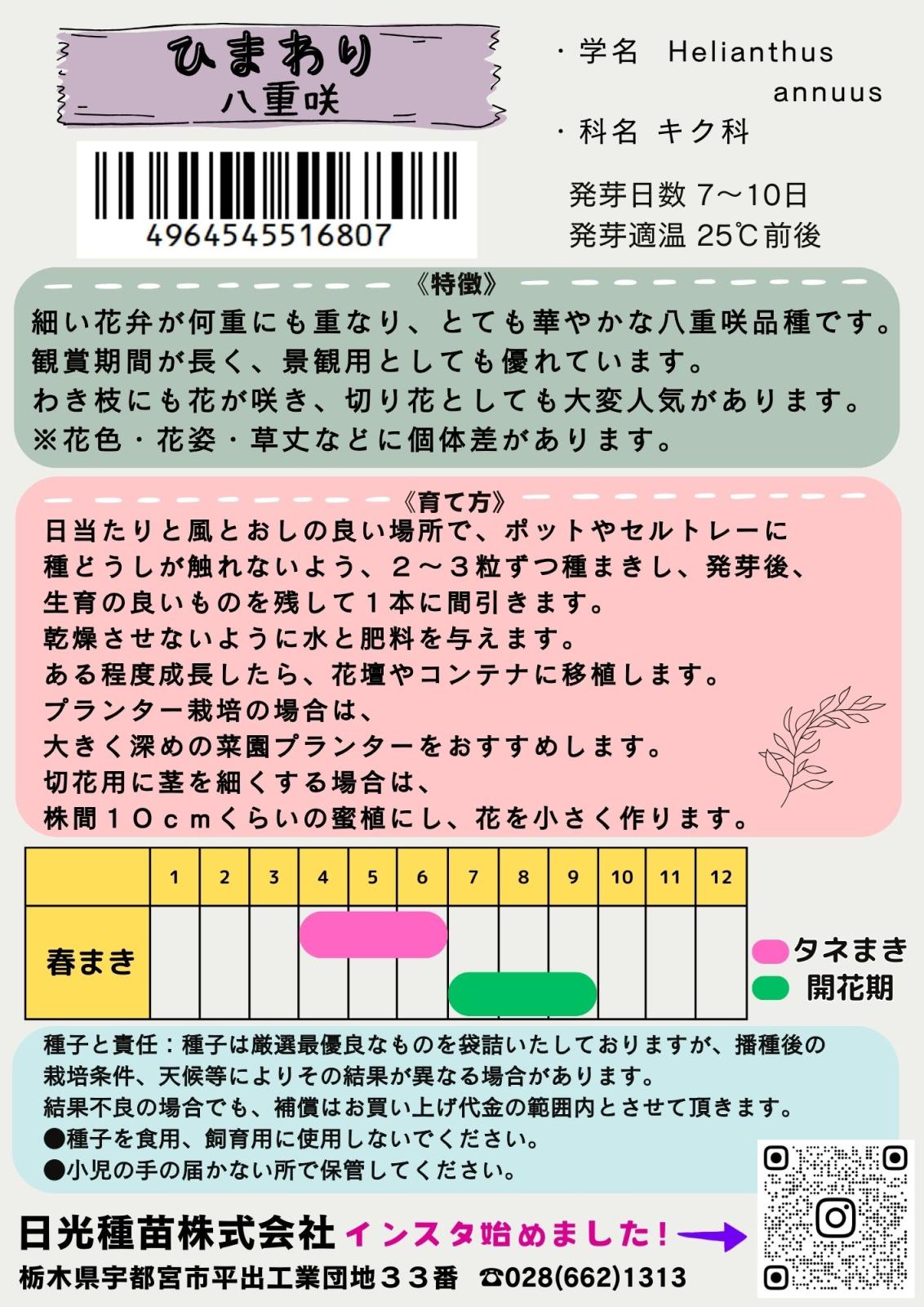 日光種苗 ヒマワリ 札幌八重まるこのタネ【品種登録出願番号：第29403号】