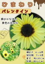  ҥޥ Х󥿥Υ[̡1ml25γ]