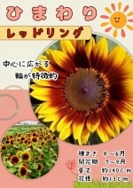  ҥޥ åɥ󥰡Х顼Υ[̡1ml18γ]