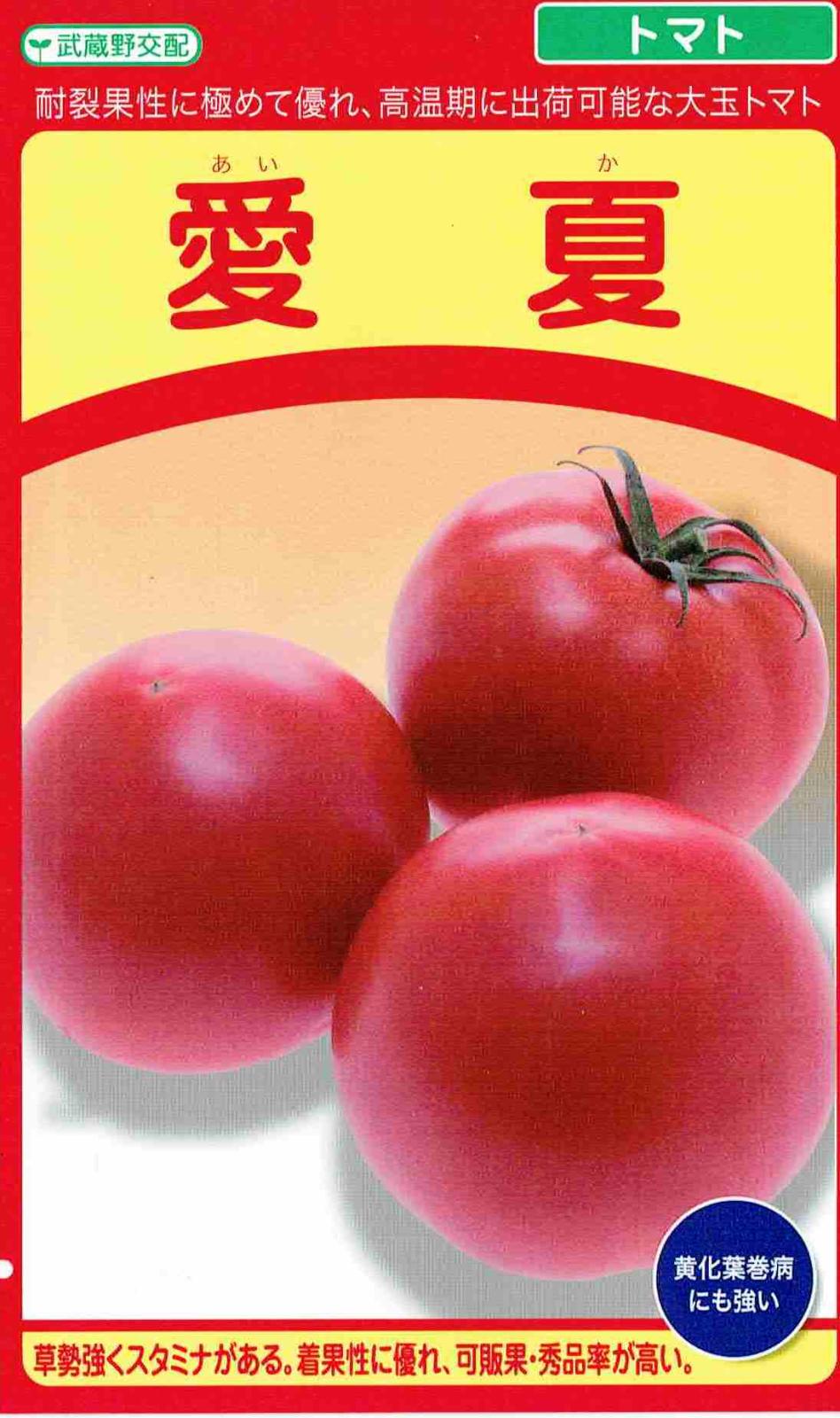 武蔵野種苗 トマト 愛夏のタネ(あいか)[内容量：約8粒] | 【メーカー名