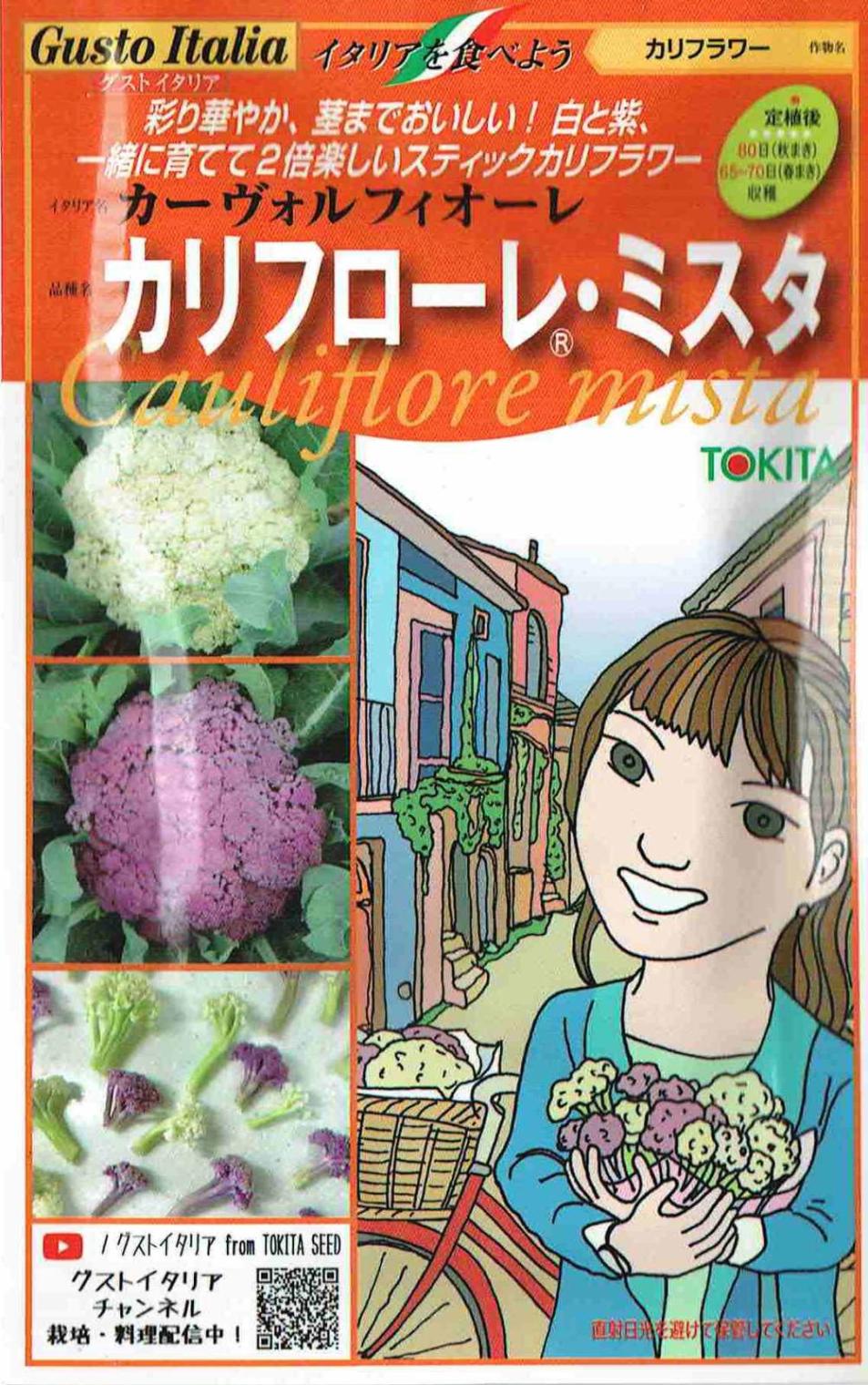 �ȥ������� �����ȥ����ꥢ ����ե����졦�ߥ��� ( ����ե�) �Υ���[�����̡���40γ�ʳ�20γ��]