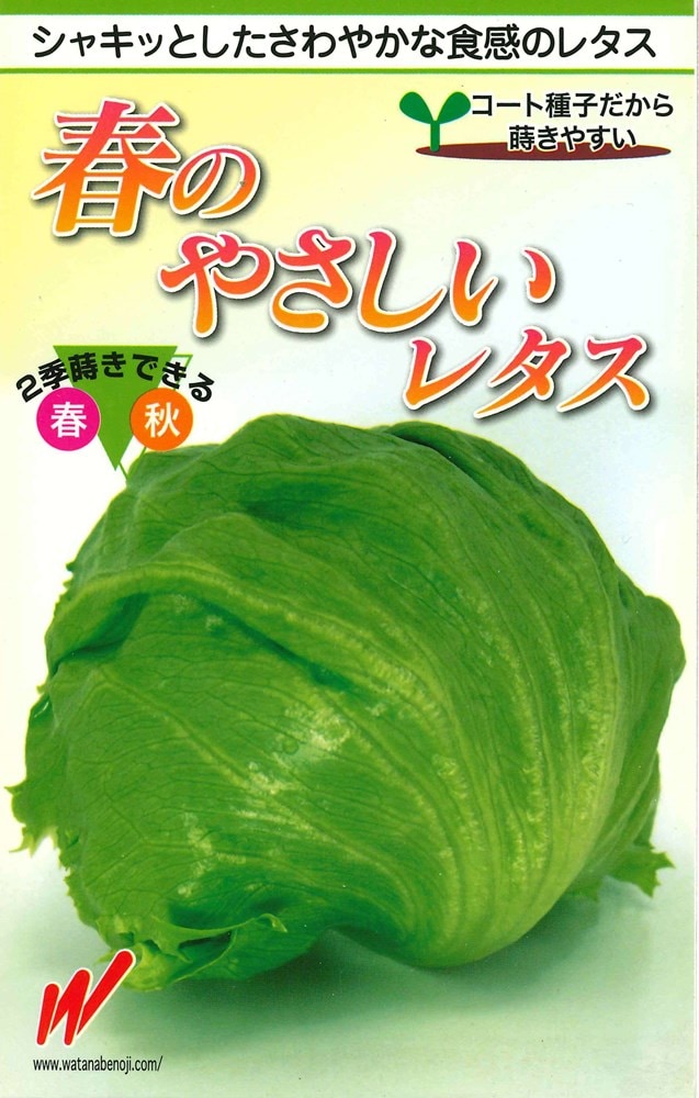 �������� �쥿�� �դΤ䤵�����쥿���Υ���[�����̡���130γ]