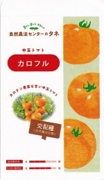 ������ˡ���󥿡� �ȥޥ� �����ե�Υ���[�����̡���10γ]