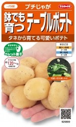 Υ 㥬 ơ֥ݥƥȡץ㤬Υ[̡5γ]